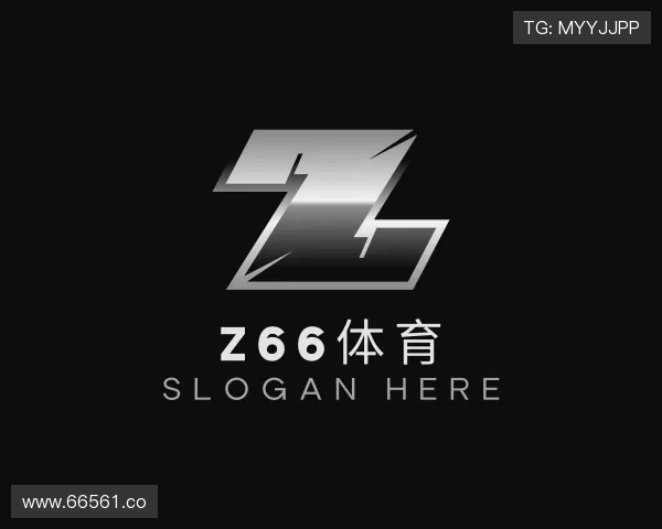 了解Z66体育